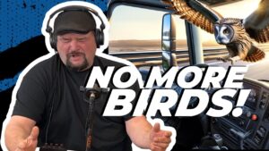 No more birds